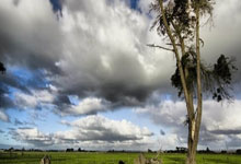 开云体育app下载地址-包含大胜之门即将打开：强队对抗快节奏！的词条